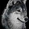 xwolf63x