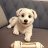 TomMix