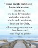 th(321).jpg